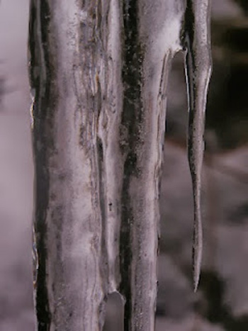 Azala